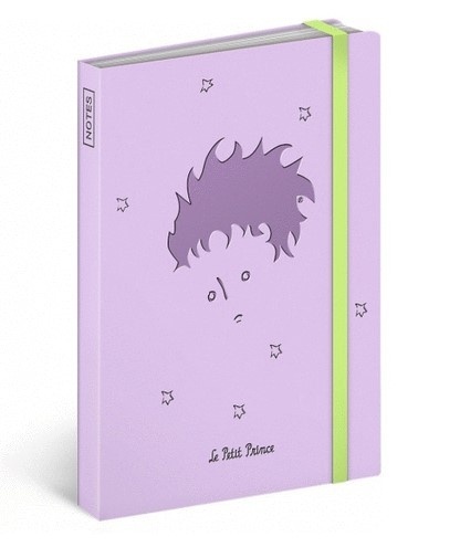 Malý Princ Boy notes linkovaný