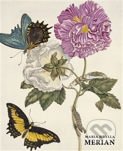 Maria Sibylla Merian