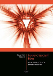 Marnotratný Bůh (Jak uzdravit srdce křesťanské víry) - kniha z kategorie Knihy o Bibli