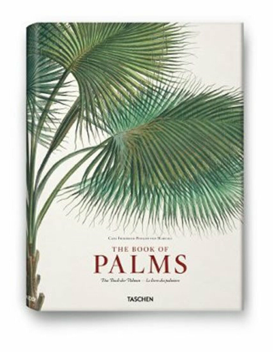 Martius: Book of Palms - Bridget Grenville-Cleave, Lack Walter H.