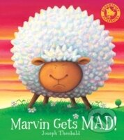 Marvin Gets Mad!