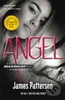 Maximum Ride: Angel