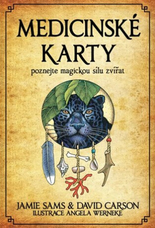 Medicinské karty - Poznejte magickou sílu zvířat - Kniha + 52 karet