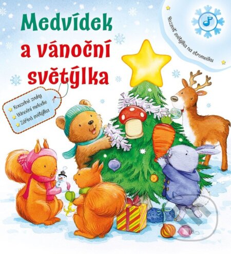 Medvídek a vánoční světýlka