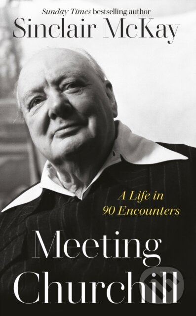 Meeting Churchill (A Life in 90 Encounters)