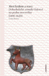 Mezi králem a stavy (Dolnolužické zemské fojtství na prahu novověku (1490–1620)) - kniha z kategorie Historie