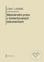 Mezinárodní právo v komentovaných dokumentech