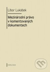 Mezinárodní právo v komentovaných dokumentech