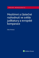 Mezitímní a částečné rozhodnutí ve světle judikatury a evropské komparace - kniha z kategorie Odborné a naučné