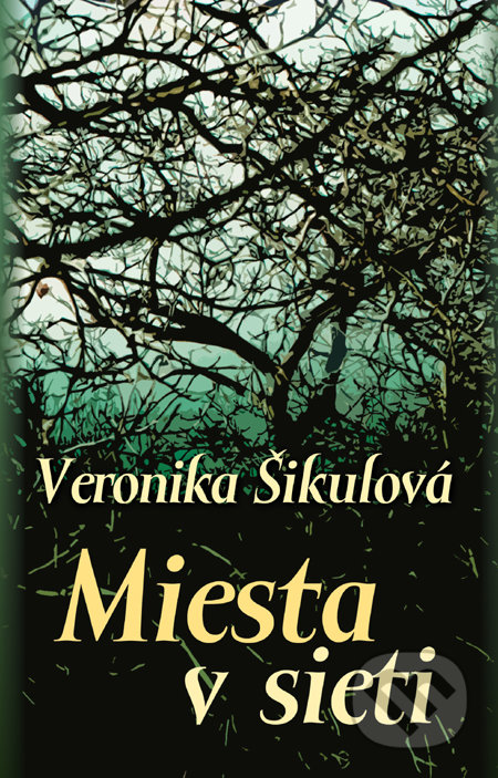 Miesta v sieti