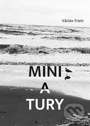 Miniatury