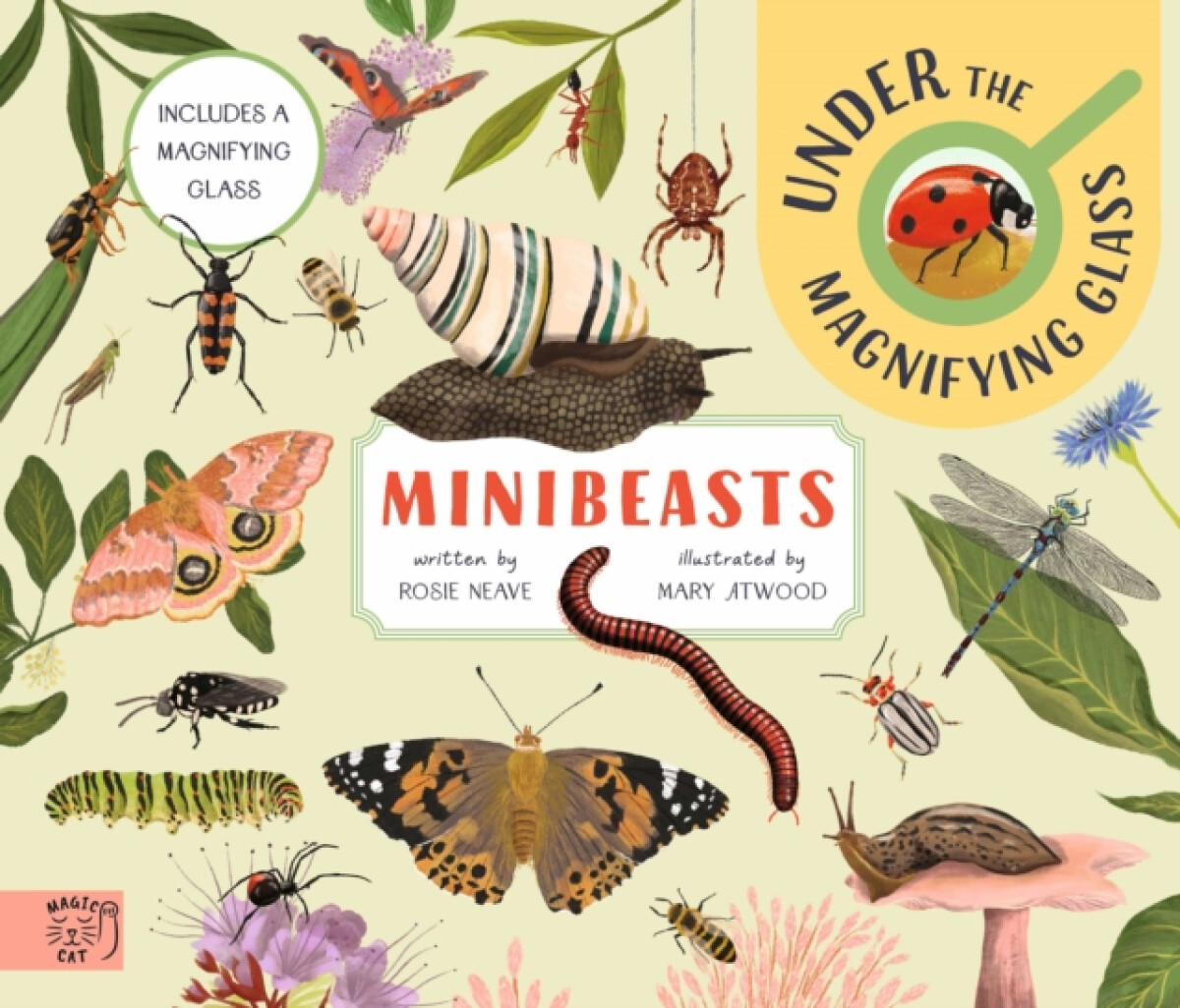 Minibeasts: Under the Magnifying Glass