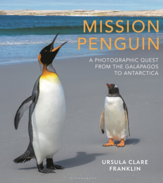 Mission Penguin