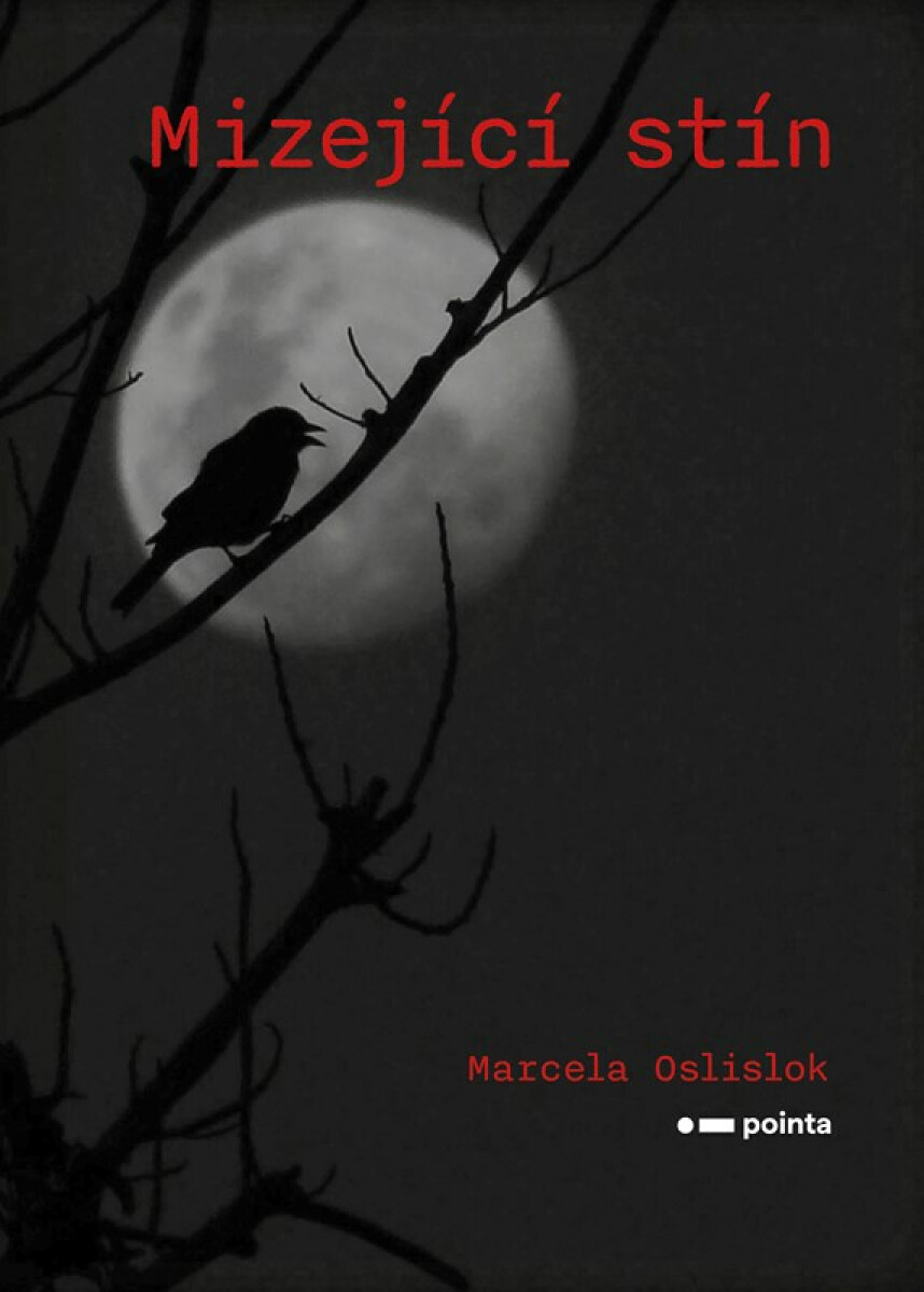 Mizející stín - Marcela Oslislok