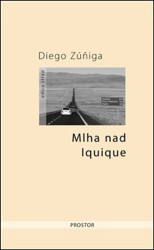 Mlha nad Iquique - Diego Zúñiga