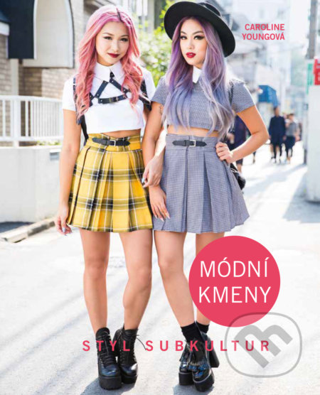 Módní kmeny (Styl subkultur)