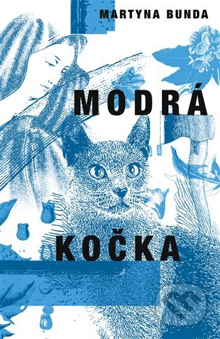 Modrá kočka