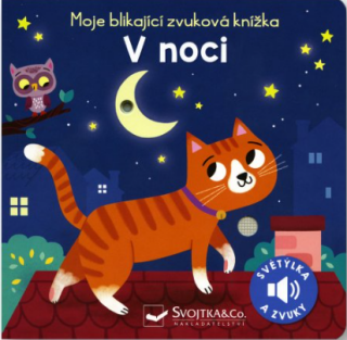 Moje blikající zvuková knížka V noci