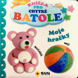 Moje hračky (Knížka pro chytré batole) - kniha z kategorie Pro děti