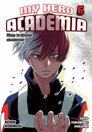 Moje hrdinská akademie 5: Šóto Todoroki: Počátek