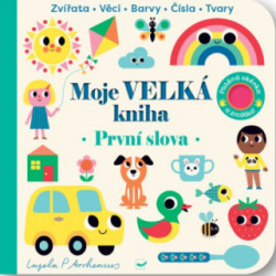 Moje velká kniha: První slova - kniha z kategorie Pro děti