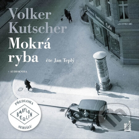 Mokrá ryba (audiokniha) (2 CD (mp3))