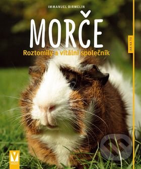Morče (Roztomilý a vitální společník)
