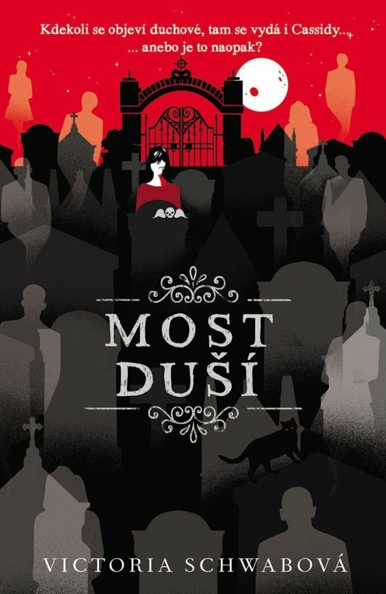Most duší - Victoria E. Schwabová