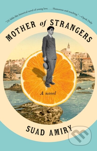 Mother of Strangers (A Novel)