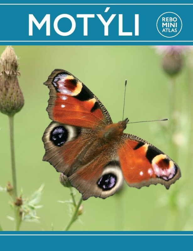 Motýli - kniha z kategorie Biologie