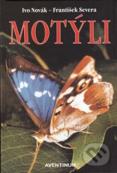 Motýli