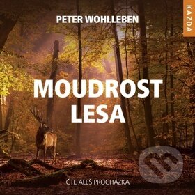 Moudrost lesa