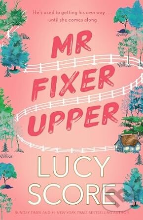 Mr. Fixer Upper