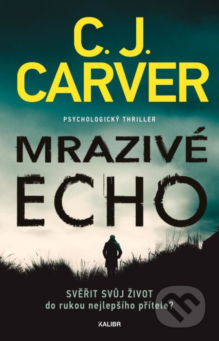 Mrazivé echo (Psychologický thriller)