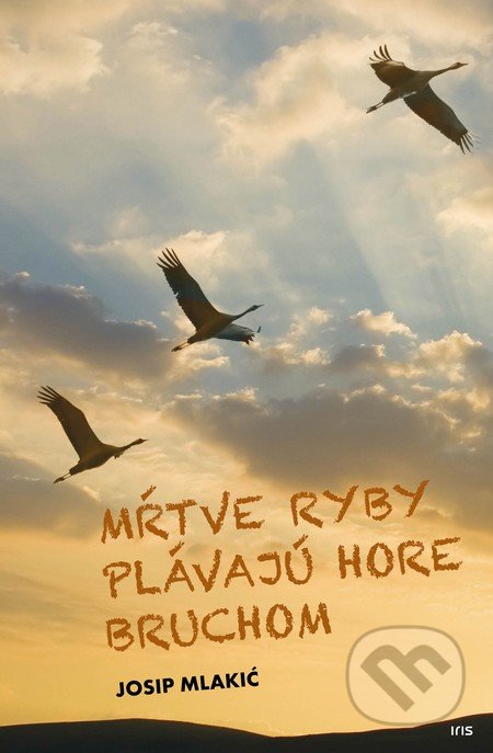Mŕtve ryby plávajú hore bruchom