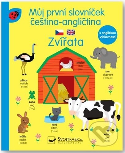 Můj první slovníček čeština