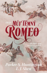 Můj temný Romeo (...ale tohle není milostný příběh.) - kniha z kategorie Romantická