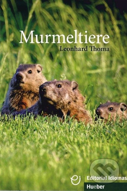 Murmeltiere B1