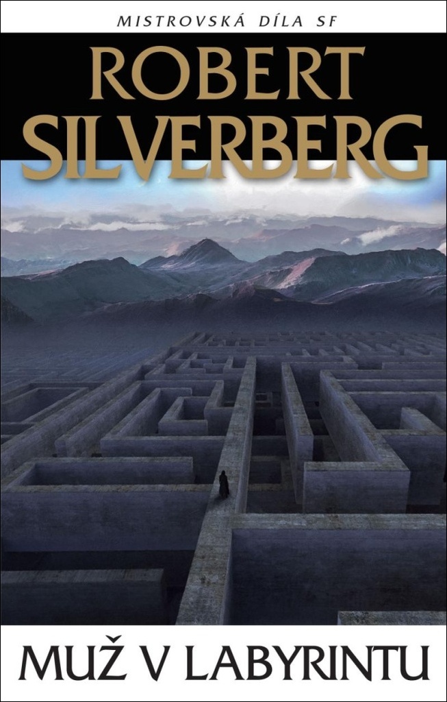 Muž v labyrintu
