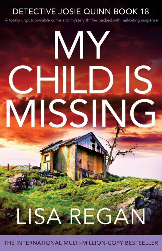 My Child is Missing - Lisa Reganová