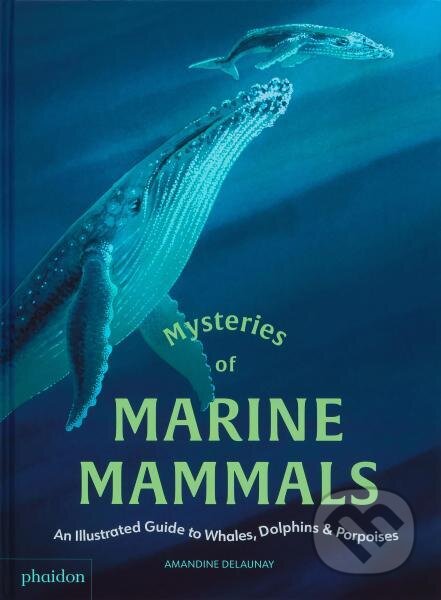 Mysteries of Marine Mammals