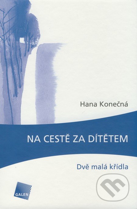 Na cestě za dítětem (Dvě malá křídla)