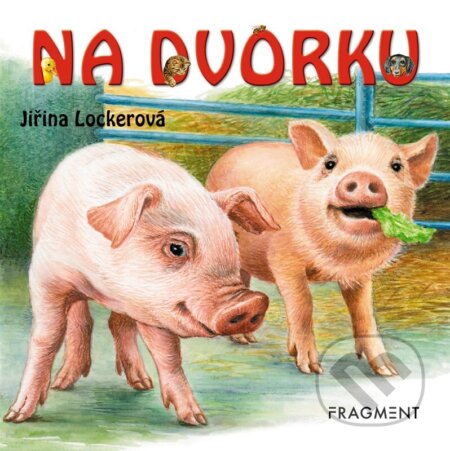 Na dvorku