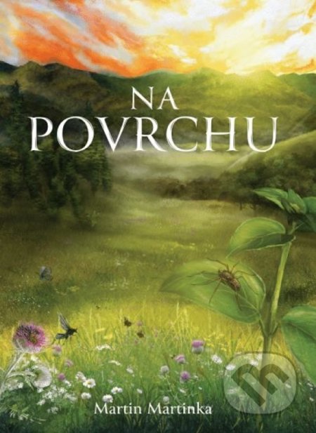 Na povrchu