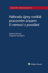 Náhrada újmy vzniklé pracovním úrazem či nemocí z povolání - kniha z kategorie Odborné a naučné