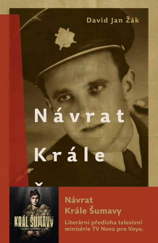 Návrat Krále Šumavy - Román o Josefu Hasilovi - David Jan Žák