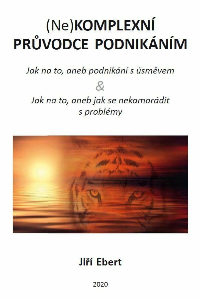 (Ne)komplexní průvodce podnikáním: jak na to, aneb podnikání s úsměvem & jak na to, aneb jak se nekamarádit s problémy - Ebert Jiří