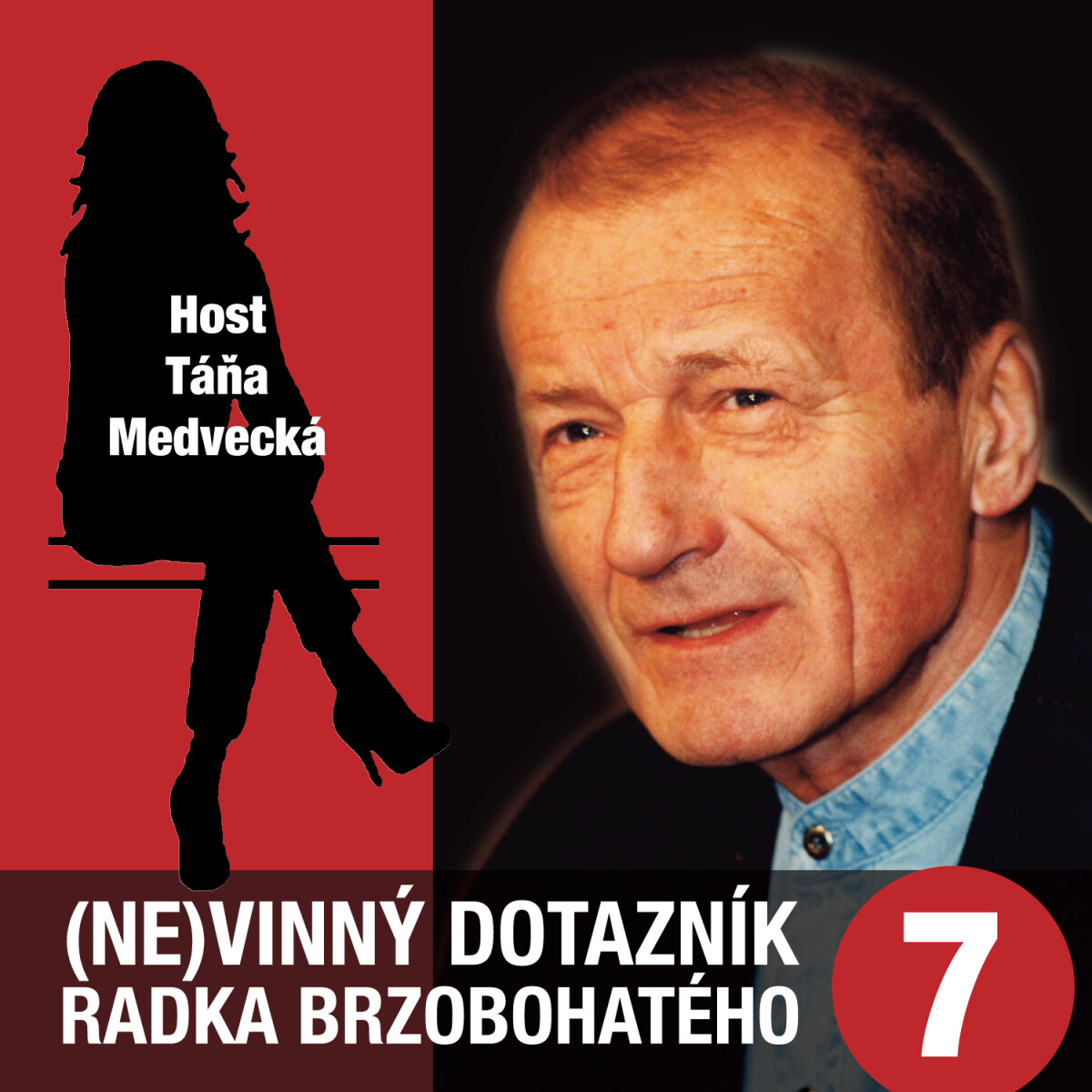 (Ne)vinný dotazník Radka Brzobohatého 7. - audiokniha