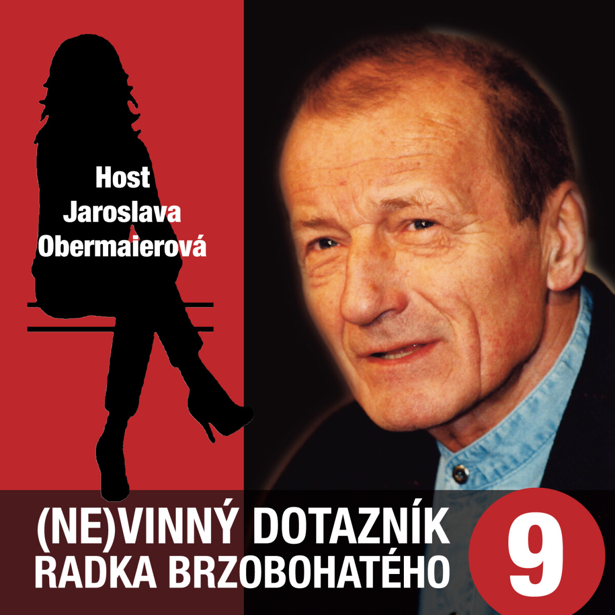 (Ne)vinný dotazník Radka Brzobohatého 9. - audiokniha