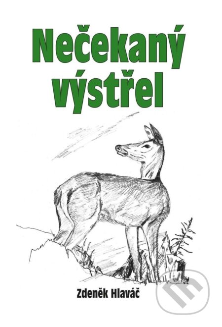 Nečekaný výstřel